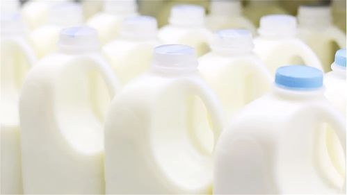 舍不得孩子套不着狼 澳洲乳企的中国突围战